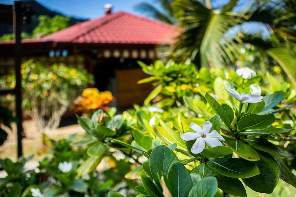 Raiatea Sur Mer Opoa Exterior photo