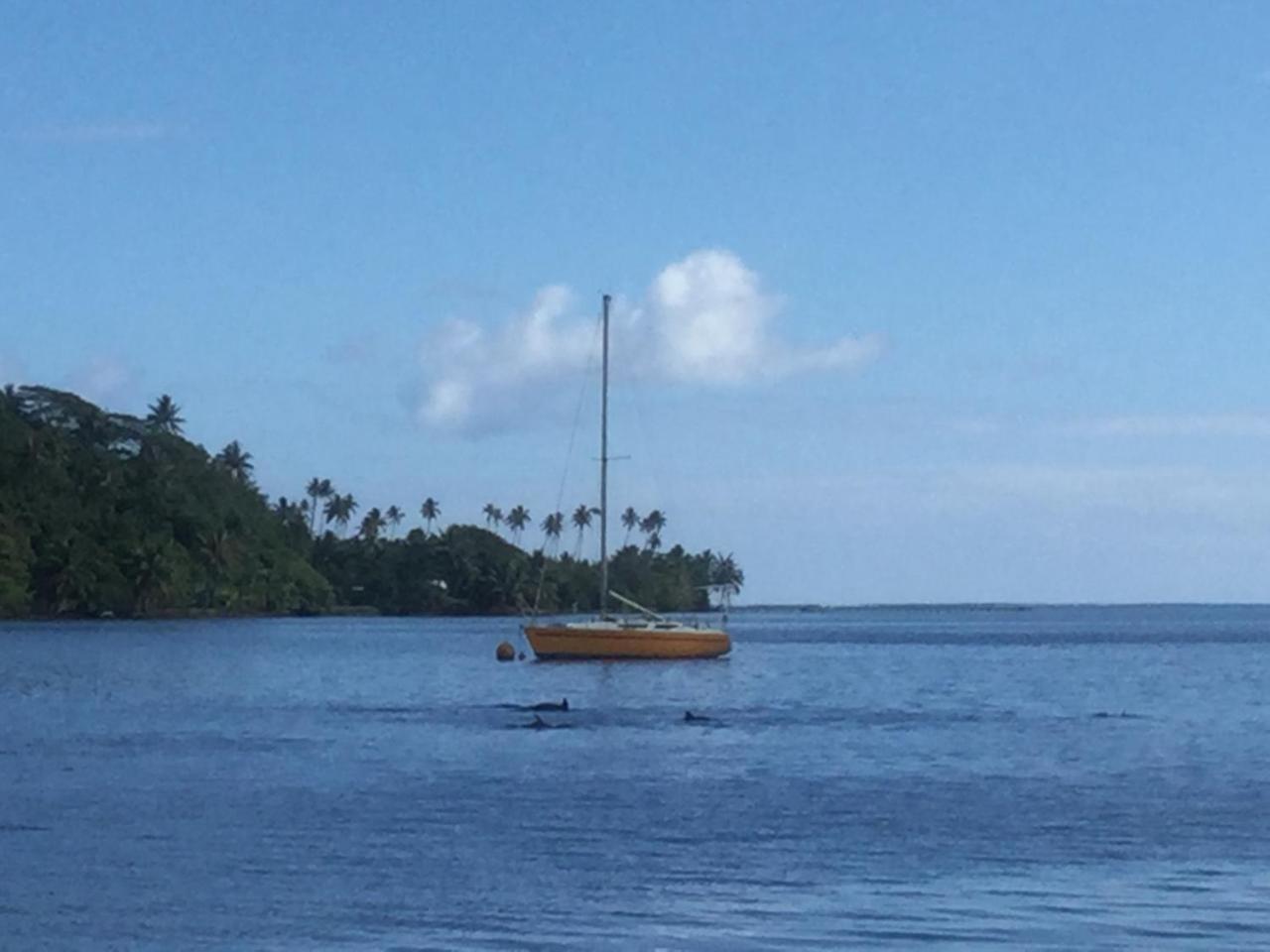 Raiatea Sur Mer Opoa Exterior photo